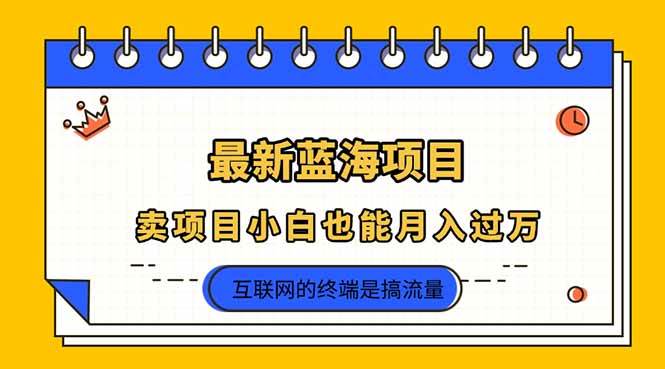 （14289期）2025年最新蓝海项目，卖项目小白也能月入过万-悟空知识星球