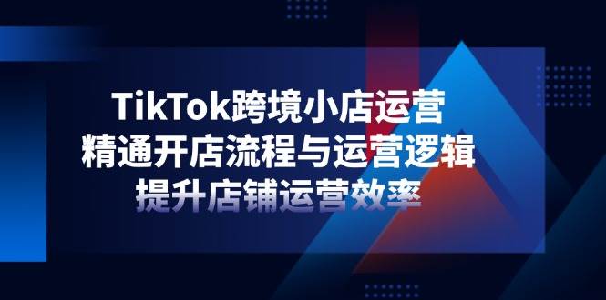 （14369期）TikTok跨境小店运营，精通开店流程与运营逻辑，提升店铺运营效率-悟空知识星球