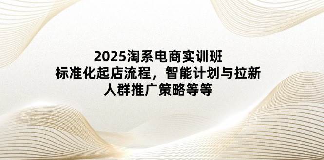 （14522期）2025淘系电商实训班：标准化起店流程，智能计划与拉新，人群推广策略等等-悟空知识星球