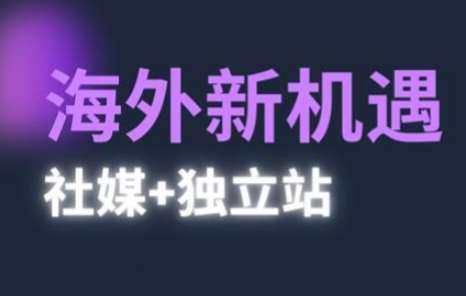 2025出海新机遇(社媒+独立站)，海外新机遇，实现独立站的高效运营与出海-悟空知识星球