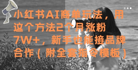 小红书AI商单玩法，用这个方法2个月涨粉7W+，新手也能接品牌合作(附全套指令模板)-悟空知识星球