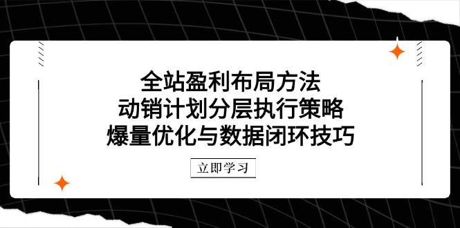 （14698期）全站盈利布局方法：动销计划分层执行策略，爆量优化与数据闭环技巧-悟空知识星球