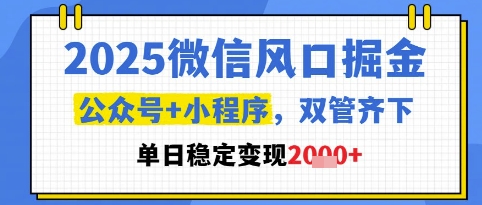 2025微信风口掘金,公众号+小程序双管齐下,单日稳定变现1k+【揭秘】-悟空知识星球