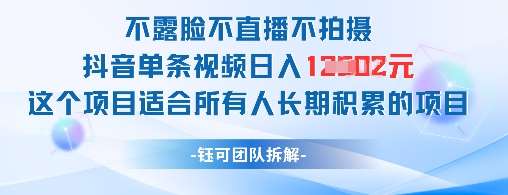 不露脸不直播不拍摄抖音单条视频日入1k+这个项目适合所有人长期积累的项目-悟空知识星球