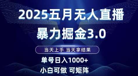 2025五月无人直播暴力掘金3.0，当天上手，当天拿结果，单号日入1k+小白可做可矩阵【揭秘】-悟空知识星球