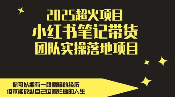 2025超火项目,副业最佳选择,小红书笔记带货团队实操落地项目,,轻松日入5张-悟空知识星球