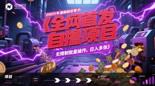 全网首发，2025年最新稳定暴力全自动自撸项目，无限制批量操作，日入多张【揭秘】-悟空知识星球