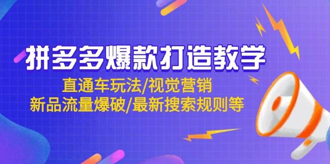（14681期）拼多多爆款打造教学：直通车玩法/视觉营销/新品流量爆破/最新搜索规则等-悟空知识星球