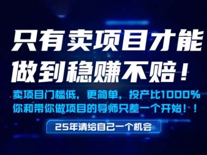 只有卖项目才能做到稳挣不赔，门槛低，更简单，你也可以年入百个W【揭秘】-悟空知识星球