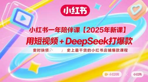 小红书一年陪伴课【2025年新课】，用短视频+deepSeek打爆款，史上最干货的小红书店铺爆款课程-悟空知识星球