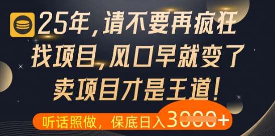 什么？25年你还在疯狂找项目做，醒醒吧，看完这些你全都懂了【揭秘】-悟空知识星球