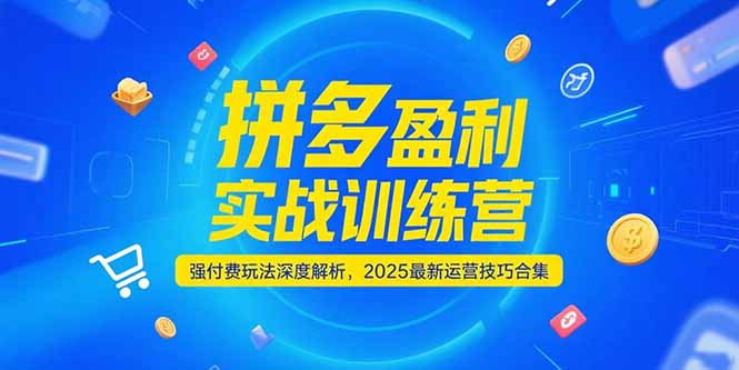 （15183期）拼多多盈利实战训练营，强付费玩法深度解析，2025运营技巧合集-更新6月-悟空知识星球