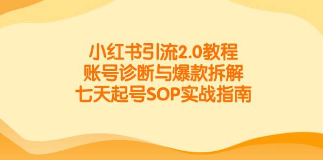 小红书引流2.0教程，账号诊断与爆款拆解，七天起号SOP实战指南-悟空知识星球
