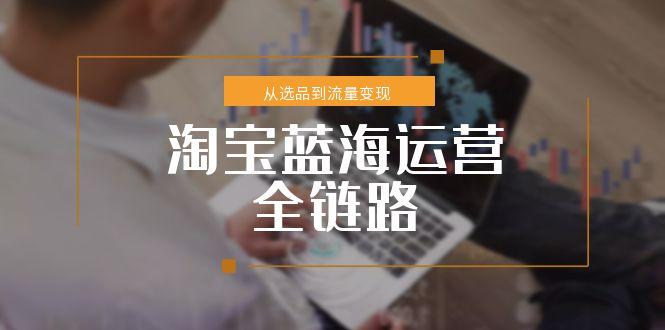 （15160期）淘宝蓝海运营全链路，从选品到流量变现，小类目突围完整方案-悟空知识星球