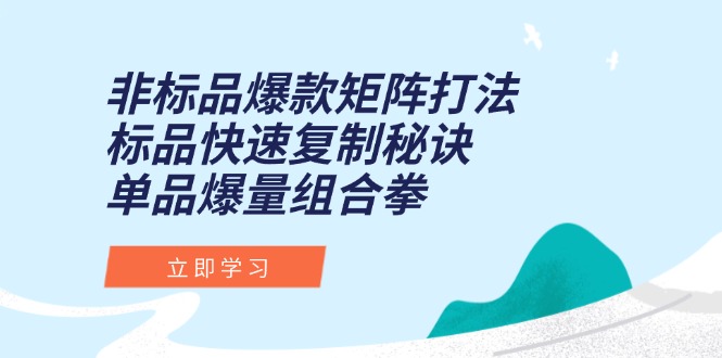 （15068期）非标品爆款矩阵打法，标品快速复制秘诀，单品爆量组合拳-悟空知识星球
