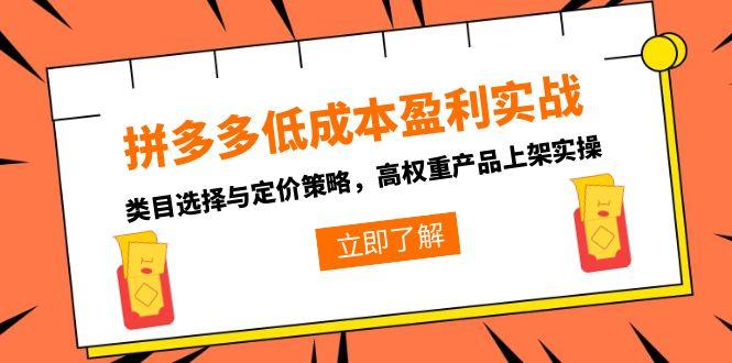（15143期）拼多多低成本盈利实战，类目选择与定价策略，高权重产品上架实操-悟空知识星球