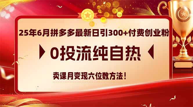 （14989期）25年6月拼多多最新日引300+付费创业粉，0投流纯自热 卖课月变现六位数方法-悟空知识星球