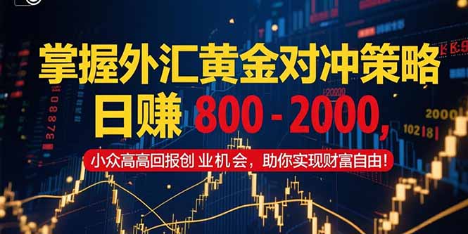 （15198期）掌握外汇黄金对冲策略，日赚 800 – 2000，小众高回报创业机会，助你实…-悟空知识星球