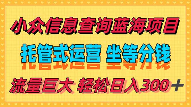 （15216期）稳定日入300＋，小众信息查询蓝海项目，全程懒人式托管，解放你的时间-悟空知识星球