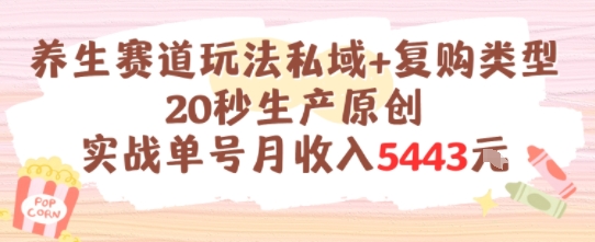 养生赛道玩法私域+复购类型，20秒生产原创实战单号月收入5k+-悟空知识星球