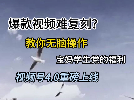 视频号4.0重磅上线，爆款视频难复刻？教你无脑操作宝妈学生党的福利【揭秘】-悟空知识星球