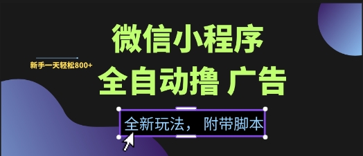 微信小程序全自动撸广告项目，彻底解决没流量的问题，新手一天8张+【揭秘】-悟空知识星球