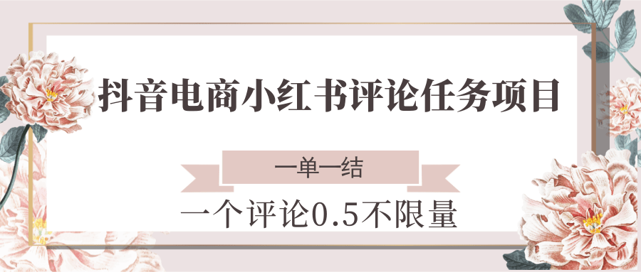 抖音电商小红书评论任务项目,一个评论0.5,一单一结 不限量-悟空知识星球