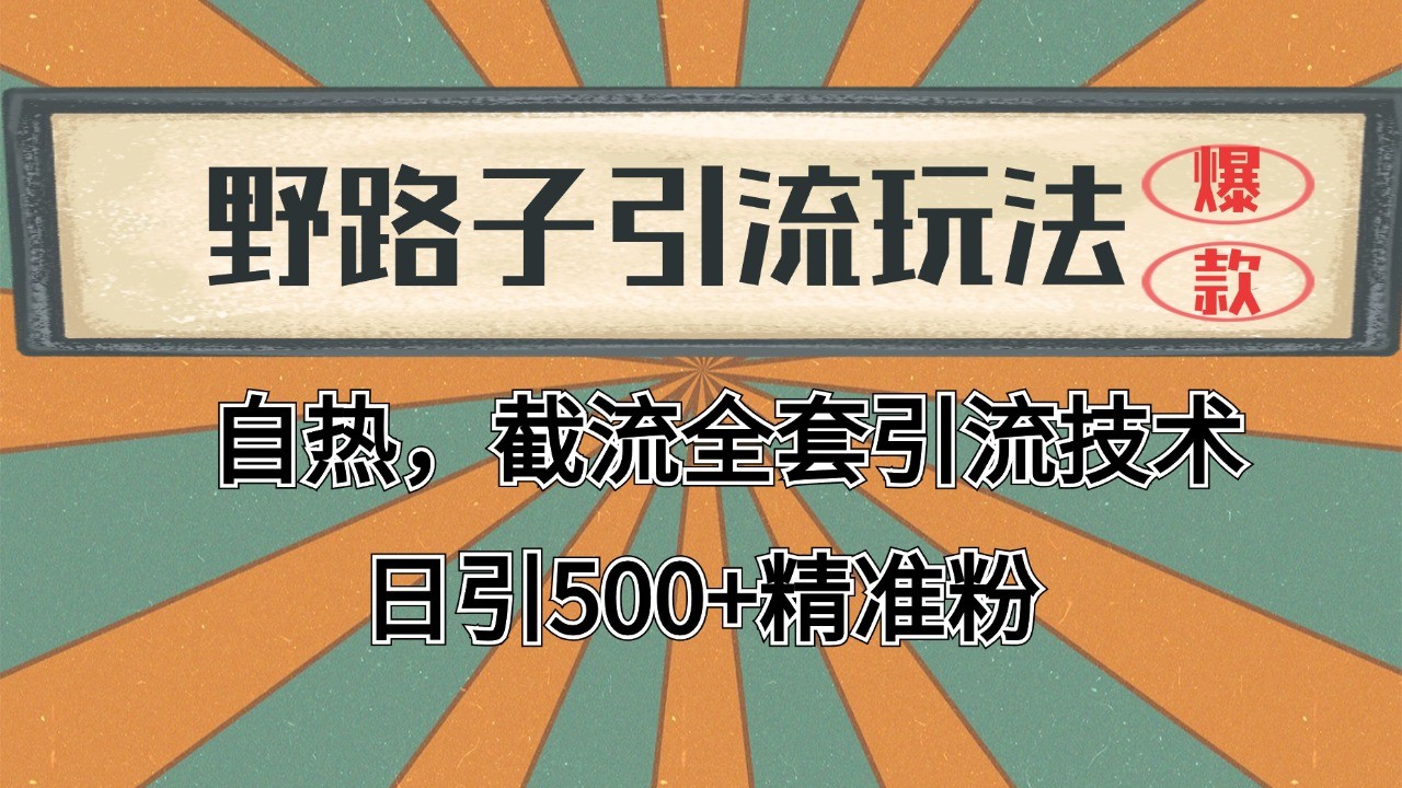 2024首发野路子引流玩法截流自热全平台打法，全自动引流【日引2000+精准客户】-悟空知识星球