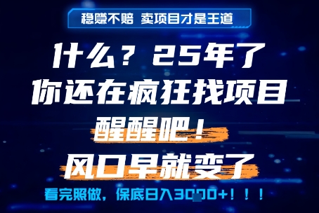 什么？25年你还在疯狂找项目做，醒醒吧，看完这些你全都懂了！【揭秘】-悟空知识星球