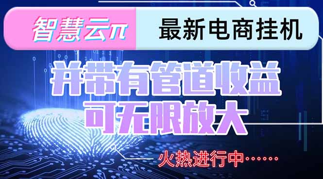 （15314期）智慧云π电脑挂机单机每天收益300—500+ 并带有团队管道收益 可无限放大-悟空知识星球