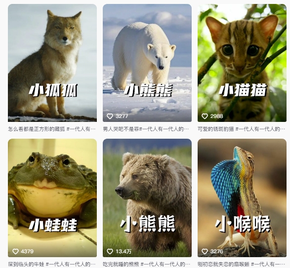 图片[2]-最新搞笑动物百科详细解说课程，蓝海赛道，流量非常大，轻松签独家进精选-悟空知识星球