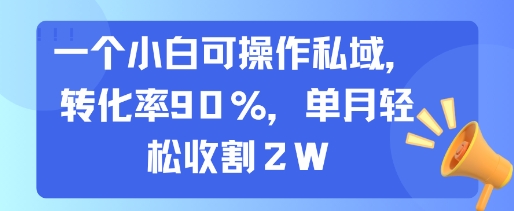 一个小白可操作私域，转化率90%，单月轻松收割2W-悟空知识星球
