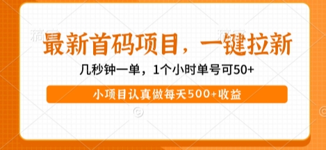 最新首码项目，操作最简单，收益高，一键拉新，1个小时单号可50+，小项目认真做每天5张+收益【揭秘】-悟空知识星球