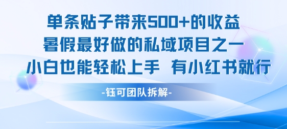 单条贴子带来5张的收益，暑假最好做的私域项目之一，小白也能轻松上手，有小红书就行-悟空知识星球