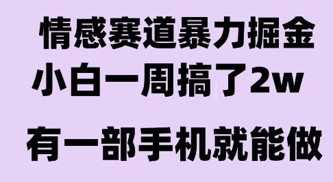 情感暴力掘金项目，新人操作一周挣了2W，长期稳定小白可做【揭秘】-悟空知识星球