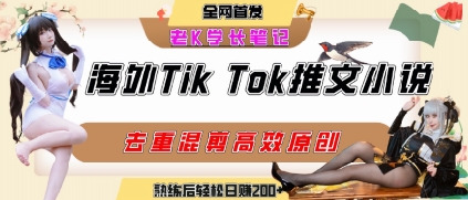 海外tiktok小说推文暴力项目，高停留率，高转化率，上手后一天搞顿饭钱不是问题-悟空知识星球