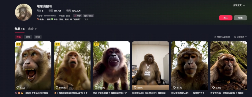 图片[2]-最新爆火的峨眉山猴子短视频制作教程，条条点赞10w+，谁做谁火【教程+提示词】-悟空知识星球