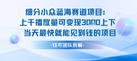 小众蓝海赛道项目：当天变现1k+适合新手操作 +适合长期玩-悟空知识星球