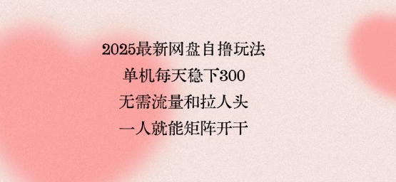 2025最新网盘自撸玩法，单机每天稳下3张，无需流量和拉人头，一个人就可轻松矩阵，全网独一份【揭秘】-悟空知识星球