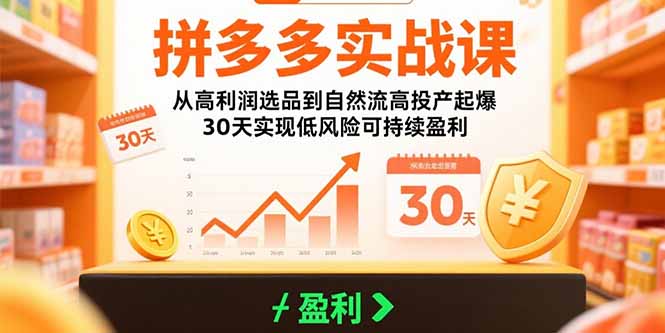 （15586期）拼多多实战课：从高利润选品到自然流高投产起爆 30天实现低风险可持续盈利-悟空知识星球