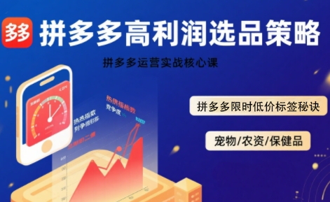 拼多多选品暴利技术实战课，拼多多高利润选品策略，拼多多限时低价标签秘诀-悟空知识星球