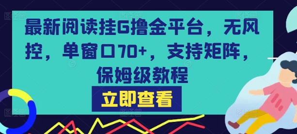 最新阅读挂G撸金平台，无风控，单窗口70+，支持矩阵，保姆级教程【揭秘】-悟空知识星球