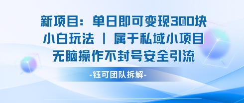 新项目单日即可变现3张的小白玩法无脑操作不封号安全引流-悟空知识星球