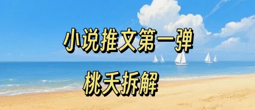 小说推文项目操作全流程第一弹，0粉就能做，门槛低非常适合新手-悟空知识星球