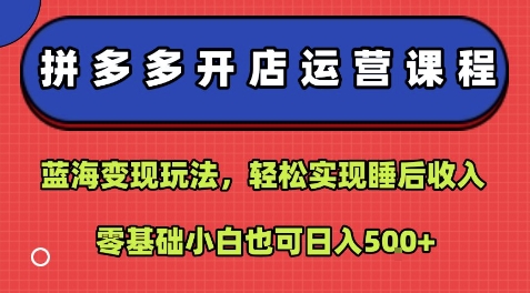 拼多多开店运营课程：蓝海变现玩法，轻松实现睡后收入，零基础小白也可日入5张-悟空知识星球