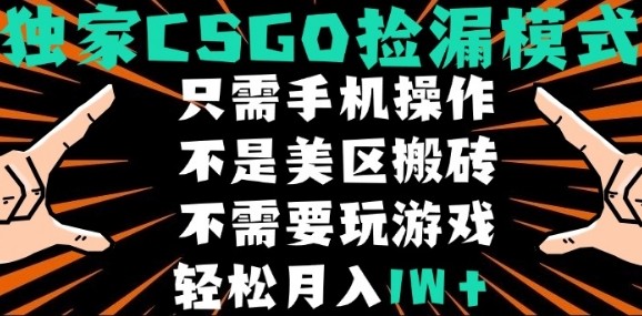 CSGO自动捡漏项目，最新独家玩法，不是美区搬砖，不需要了解和玩游戏，新手小白轻松月入1W+【揭秘】-悟空知识星球