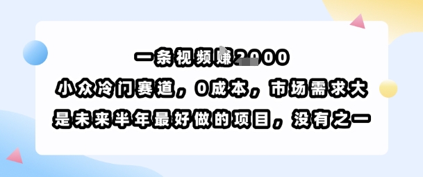 一条视频挣1k，小众冷门赛道，0成本，市场需求大，是未来半年最好做的项目，没有之一-悟空知识星球