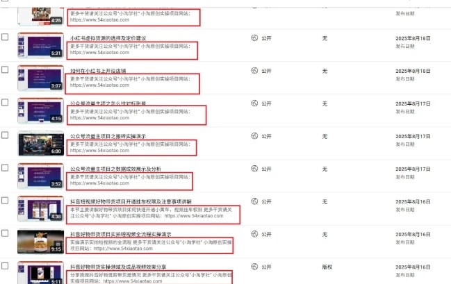 图片[2]-2025油管引流术，分享我是如何通过油管做引流的-悟空知识星球