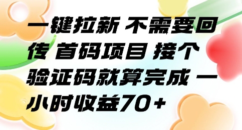一键拉新 不需要回传 首码项目 接个验证码就算完成 一小时收益70+【揭秘】-悟空知识星球