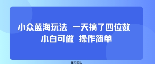 小众蓝海玩法 一天搞了四位数 小白可做 操作简单-悟空知识星球